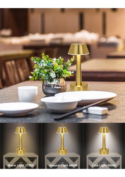 Hubstein Işık Ayarlı Dokunmatik Mantar Masa Lambası Metal 3 Işık Renkli Şarjlı Masa Lambası Gold fırsatları