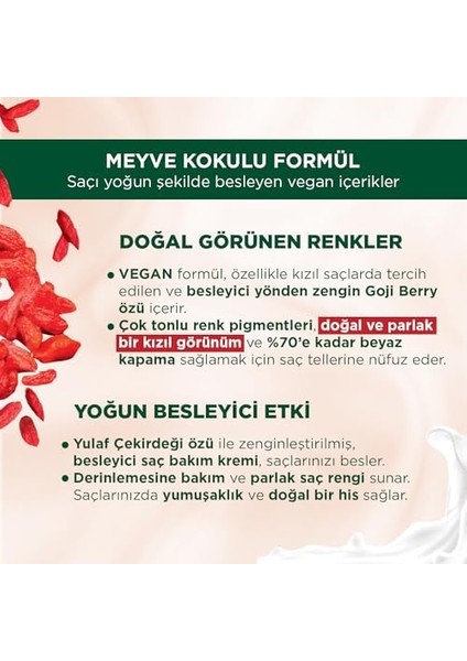 Palette Kalıcı Doğal Renkler Saç Boyası 6-88 Ateş Kızılı Saç Boyası