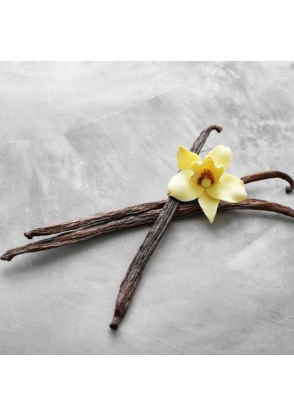 10’lu Çubuk Vanilya Vakumlu Paket – Doğal Aromalı Vanilya Çubuğu fiyatları
