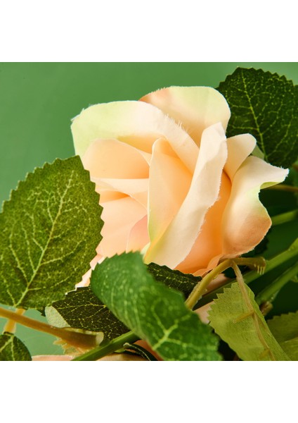 Time Üç Başlı Gül - Asorti - 30 cm modelleri