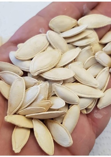 Tarım Doğal Çerezlik Kabak Çekirdeği Ürgüp Hanım Tırnağı Tohumu 20 Ad