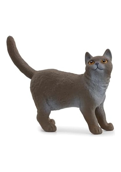British Shorthair Kedi, Oyuncak Figür fiyatları
