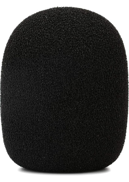 Ws2 Stüdyo Aksesuarı