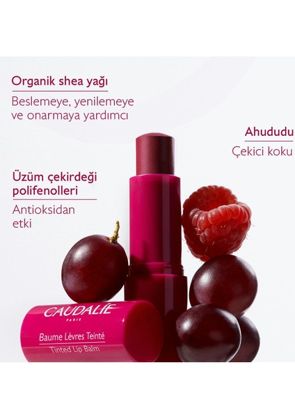 Tinted Lip Balm 4.5 gr indirimleri