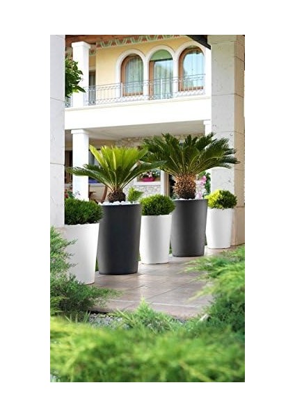 Zamora 50 Polietilen Saksı Kapuçino modelleri