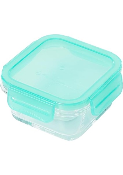 Saklama Kabı 530083 1ADET Sızdırmaz Kilitli modelleri