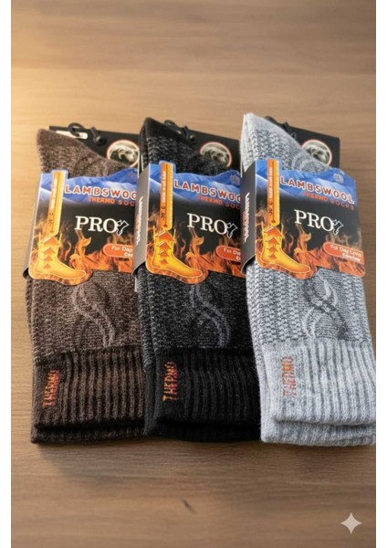 Erkek Thermal Çorap Dikşsiz Topuk Burun Takviyeli Güçlendirilmiş Havlu Örgü 3 Lü Paket fiyatları