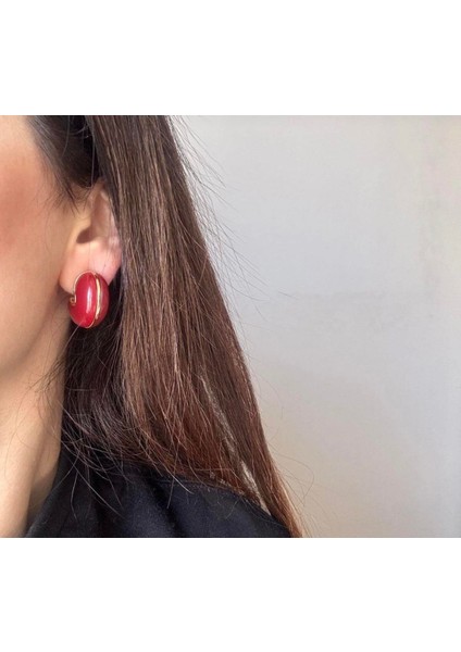 Çelik Renkli Halka Küpe fiyatları