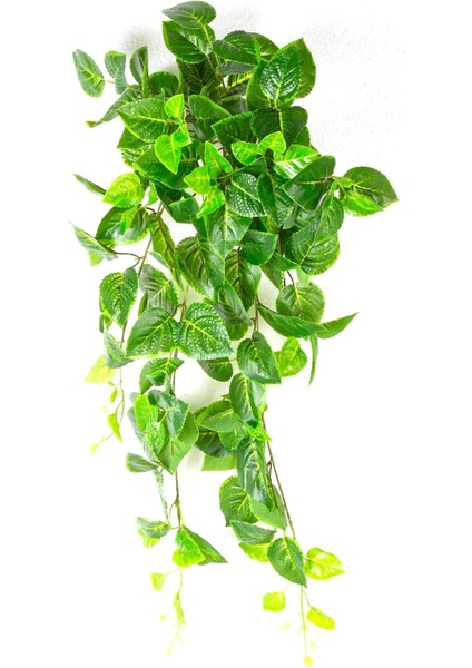 Yapay Bitki Asılabilir Sarmaşık -Biftek Otu Gerçek Dokulu Yeşil 82 Cm.
