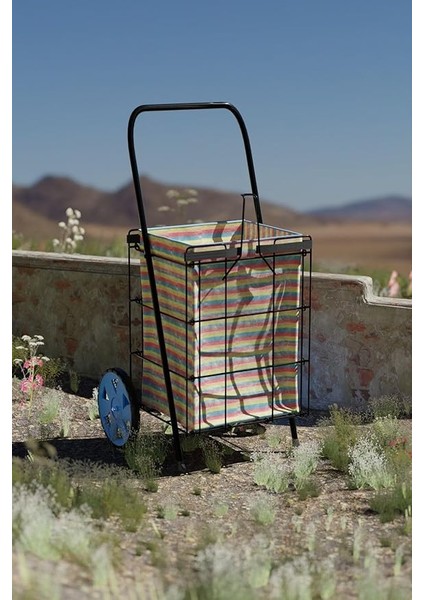 Büyük Boy Ekonomik Tel Pazar Arabası