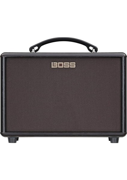 AC-22LX Akustik Gitar Amfisi