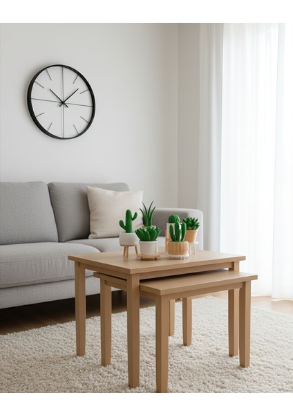 6'lı Yapay Kaktüs Set (18 Parça) - Yapay Çiçek - Yapay Bitki