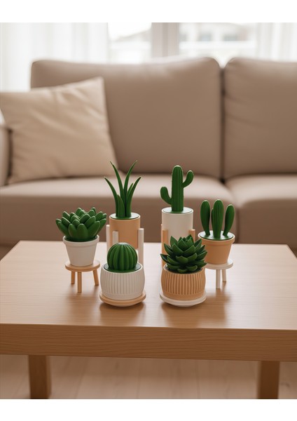 6'lı Yapay Kaktüs Set (18 Parça) - Yapay Çiçek - Yapay Bitki