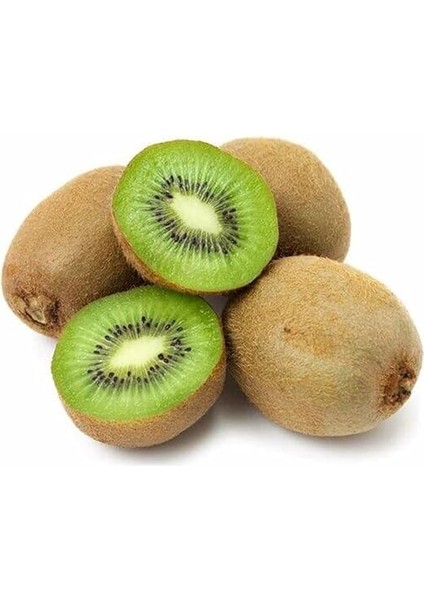 Hayward Kivi Fidanı Paketi(1 Dişi-1 Erkek) modelleri