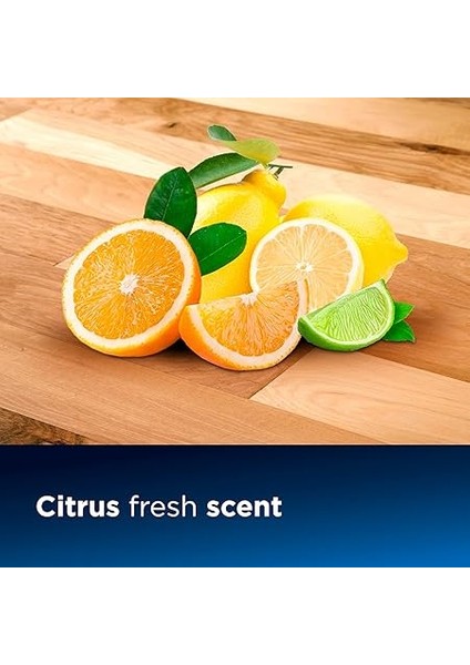 Farklı Yüzeylerde Kullanıma Uygun ve Evcil Hayvan Lekelerine Karşı Etkili Doğal Deterjan, 1 Lt. fırsatları