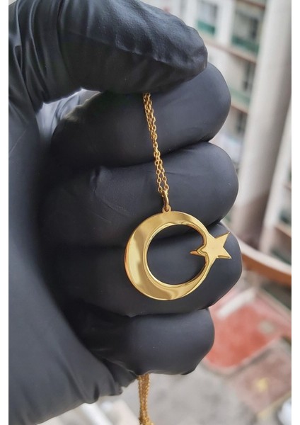 925 Ayar Gümüş 24 Ayar Altın Kaplama Ayyıldız Kolye