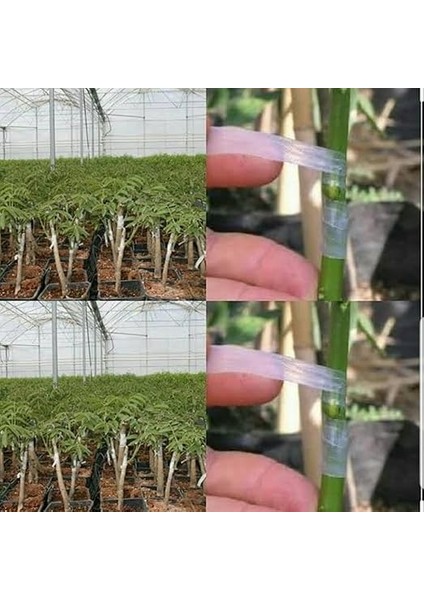 Kutulu Aşı Bandı 1 Adet modelleri