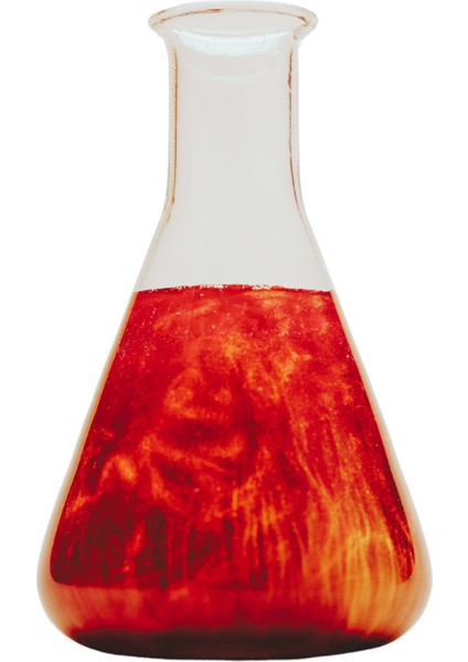 Cam Erlen 250 ml Geniş Boyunlu Isıya Dayanıklı Erlenmayer 3.3 Borosilicate fiyatları