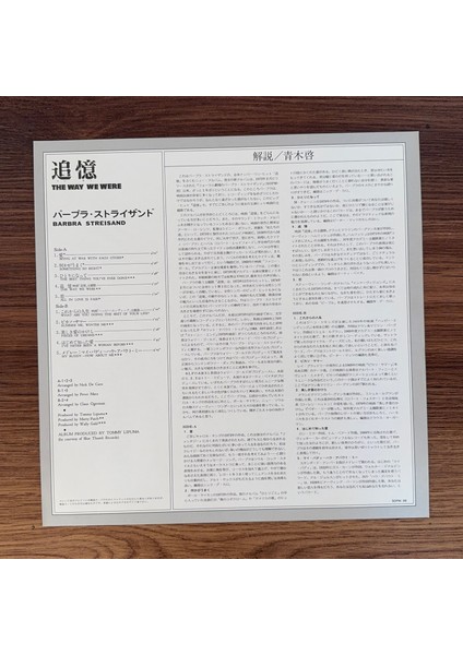 Barbra Streisand – The Way We Were (Kopya) modelleri