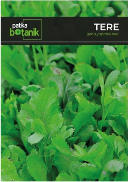 Botanik 4.000 Adet Yerli Ata Tere Tohumu