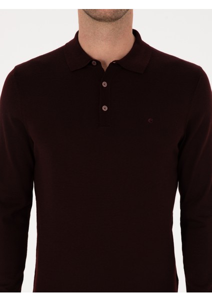 Erkek Bordo Slim Fit Yün Karışımlı Polo Yaka Basic Triko Kazak 50315267-VR014