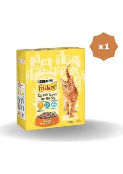 Kedi Friskies Yetişkin Kümes Hayvanlı Kuru Mama 300 gr - (1 Adet)