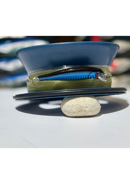 Hazır Rapala Olta Seti 9 cm | Lüfer, Palamut, Çinekop Avı Için – Cannelle Iğneli, Uzun Misina fiyatları