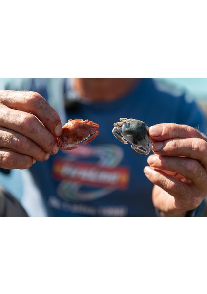 Gulp Peeler Crab Lrf Silikon Yengeç Amber Glow-5 cm fiyatları