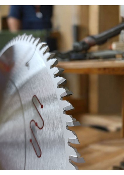 300*96 Kurtdiş Testere fiyatları