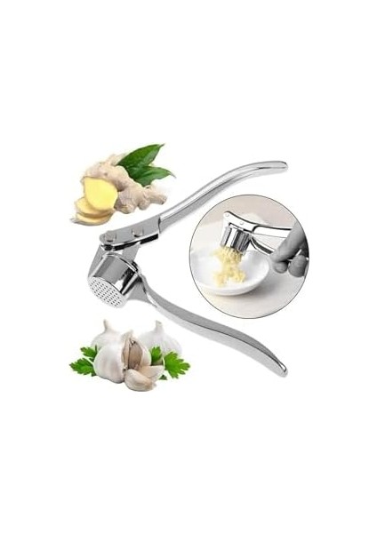 Paslanmaz Çelik Sarımsak Ezici Yuvarlak Şekilli Hazneli Pratik Sarımsak Sıkıcı Sarımsak Rendeleyici fiyatları