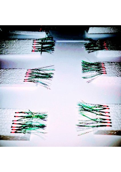 Çapari, İstavrit Çaparisi, 20x12 Beden, Ultraviyole Uv Neon Koyu Yeşil Sim, 11 No Beyaz 7 İğneli, 3lü Paket fırsatları