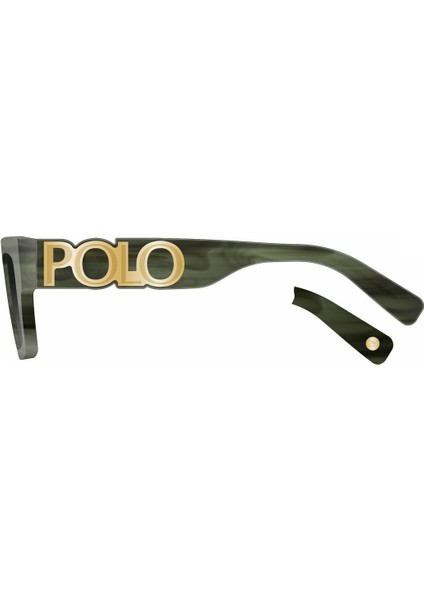 SB1106COL04 Kadın Güneş Gözlüğü indirimleri