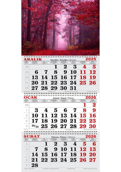 2026 Yılı Gemici Takvimi- Sonbaharda Sisli Orman ve Dökülen Yapraklar