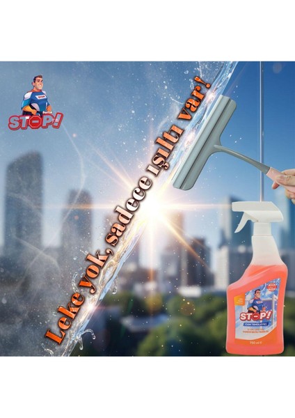 4'lü Cam Temizleyici Sprey 750 ml fiyatları
