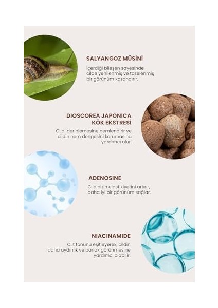 Deoproce Salyangoz Müsini Içeren Aydınlatıcı ve Kırışıklık Karşıtı Premium Yüz Bakım Kremi 30 Mililitre fiyatları
