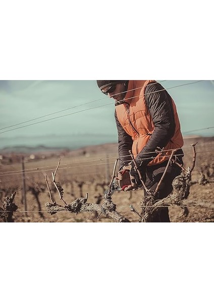 J467 Budama Makası Alüminyum Saplı, 275 mm Komple Uzunluk,35 mm Dal Kesme Çapı fırsatları