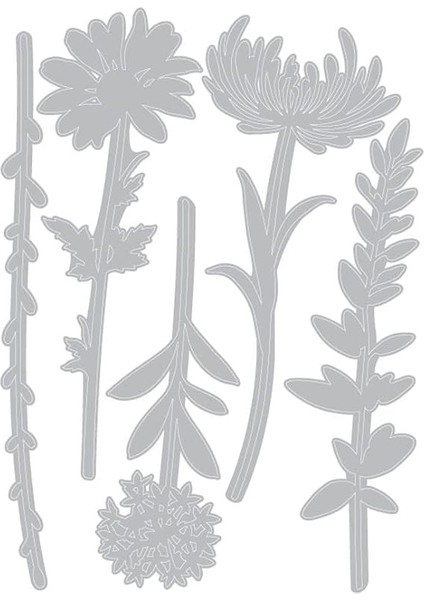 Thinlits Zımba Şablonları 5 Adet - Yaban Çiçeği Sap #1 Tim Holtz fırsatları