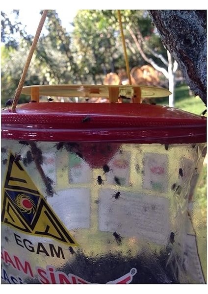 Large Karasinek Tuzağı, Sağlık Bakanlığı Onaylı, 100% Etkili Karasinek Kapanı fırsatları