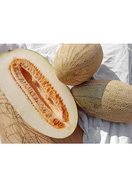 Adet Özbekistan Kavunu Tohumu