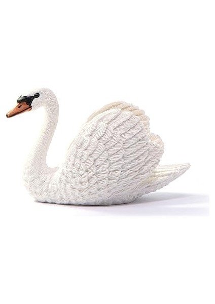 13921 Kuğu modelleri