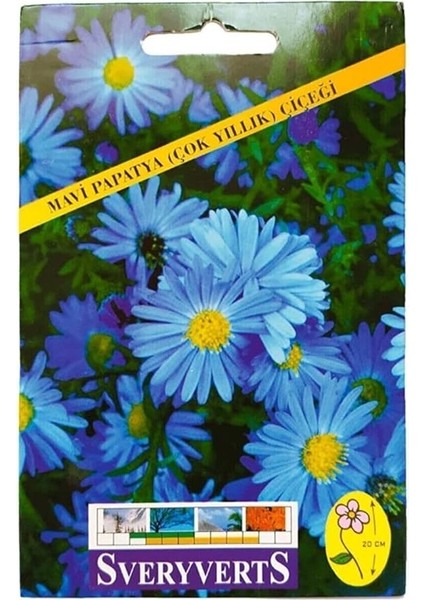 Mavi Papatya Çiçeği Tohumu