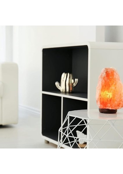 Lambası Himalaya Kaya Tuzu Gece Lambası 1-2 kg (Tuz, 3-4 Kg) indirimleri