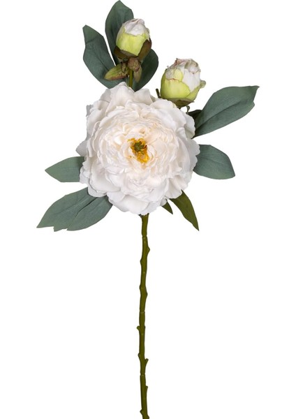 Çiçek Şakayık Beyaz 62 Cm.