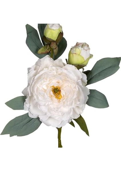 Çiçek Şakayık Beyaz 62 Cm. fiyatları