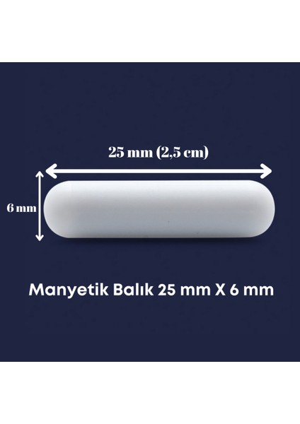 Manyetik Balık 25MM x 6 mm Ptfe Silindirik Laboratuvar