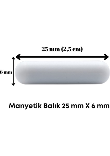 Manyetik Balık 25MM x 6 mm Ptfe Silindirik Laboratuvar modelleri