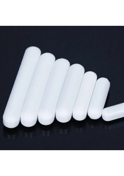 Manyetik Balık 25MM x 6 mm Ptfe Silindirik Laboratuvar fırsatları