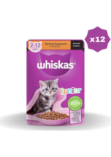 Yaş Mama Poşet Yavru Kümes 85 gr - (12 Adet)