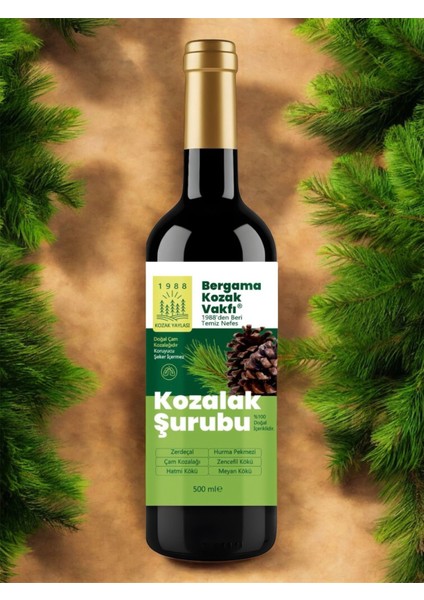 Bergama Vakfı Kozalak Şurubu 500ML fırsatları