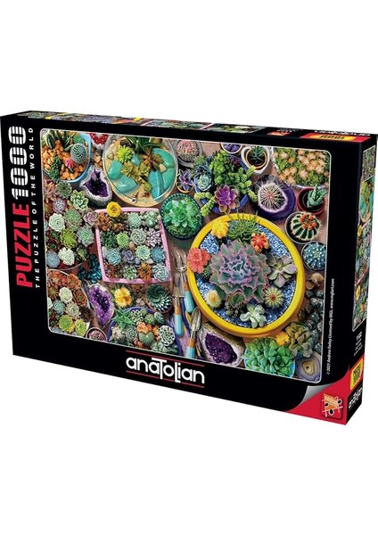 Puzzle - Kaktüsler / 1000 Parça Puzzle, #1122